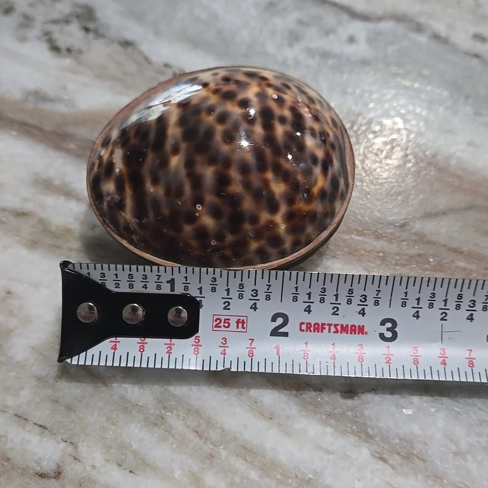 Shell Trinket Box - Picture 6 of 6
